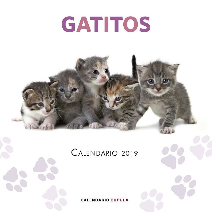 CALENDARIO GATITOS 2019 | 9788448024659 | AA. VV. | Llibreria L'Odissea - Libreria Online de Vilafranca del Penedès - Comprar libros