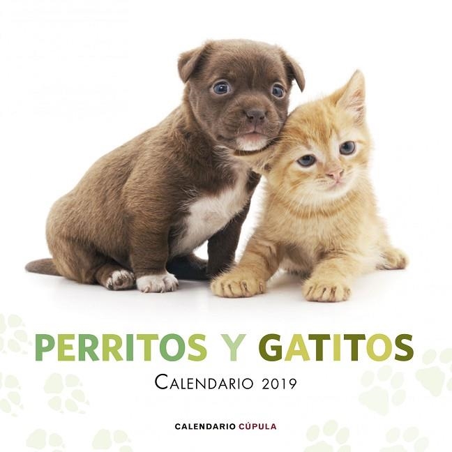 CALENDARIO PERRITOS Y GATITOS 2019 | 9788448024666 | AA. VV. | Llibreria L'Odissea - Libreria Online de Vilafranca del Penedès - Comprar libros