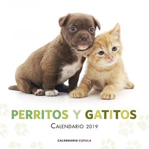 CALENDARIO PERRITOS Y GATITOS 2019 | 9788448024666 | AA. VV. | Llibreria Online de Vilafranca del Penedès | Comprar llibres en català