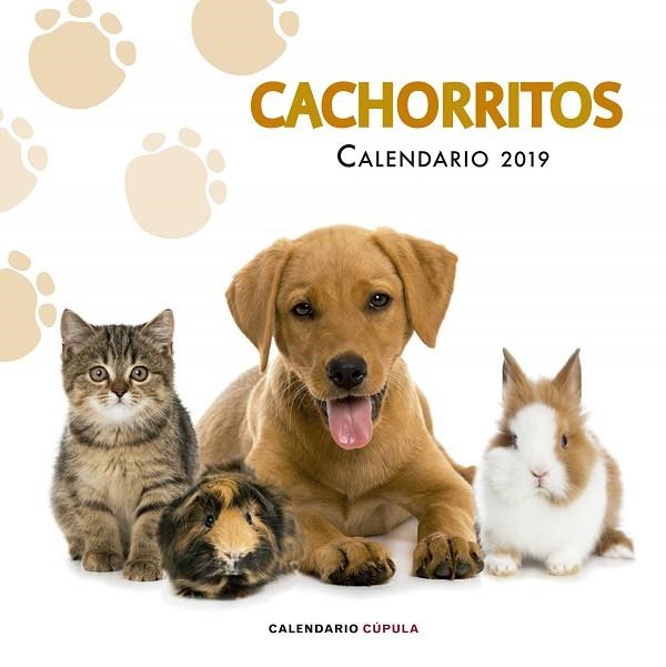 CALENDARIO CACHORRITOS 2019 | 9788448024673 | AA. VV. | Llibreria L'Odissea - Libreria Online de Vilafranca del Penedès - Comprar libros