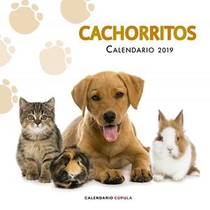 CALENDARIO CACHORRITOS 2019 | 9788448024673 | AA. VV. | Llibreria Online de Vilafranca del Penedès | Comprar llibres en català