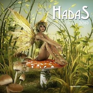 CALENDARIO HADAS 2019 | 9788448024765 | AA. VV. | Llibreria L'Odissea - Libreria Online de Vilafranca del Penedès - Comprar libros