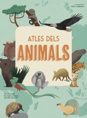 ATLES DELS ANIMALS (VVKIDS) | 9788468258867 | BANFI, CRISTINA/SCHIAVO, RITA/PERABONI, CRISTINA | Llibreria L'Odissea - Libreria Online de Vilafranca del Penedès - Comprar libros