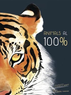 ANIMALS AL 100% (VVKIDS) | 9788468259574 | SCHIAVO, RITA MABEL | Llibreria L'Odissea - Libreria Online de Vilafranca del Penedès - Comprar libros