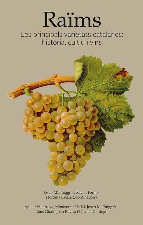 RAÏMS | 9788416445318 | VILLARROYA SERAFINI, AGUSTÍ/NADAL ROQUET-JALMAR, MONTSERRAT/PUIGGRÒS I JOVÉ, JOSEP MARIA/GIRALT VIDA | Llibreria Online de Vilafranca del Penedès | Comprar llibres en català