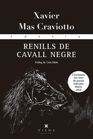 RENILLS DE CAVALL NEGRE | 9788494978425 | MAS CRAVIOTTO, XAVIER | Llibreria L'Odissea - Libreria Online de Vilafranca del Penedès - Comprar libros