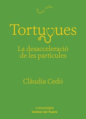 TORTUGUES LA DESACCELERACIÓ DE LES PARTÍCULES | 9788417188863 | CEDÓ CASTILLO, CLÀUDIA | Llibreria Online de Vilafranca del Penedès | Comprar llibres en català