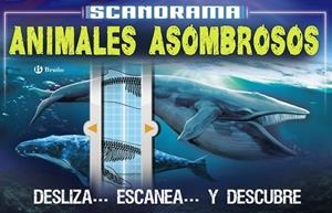 SCANORAMA ANIMALES ASOMBROSOS | 9788469623657 | CLAYBOURNE, ANNA | Llibreria L'Odissea - Libreria Online de Vilafranca del Penedès - Comprar libros
