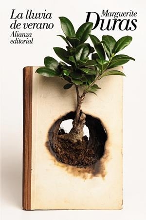 LA LLUVIA DE VERANO | 9788491814962 | DURAS, MARGUERITE | Llibreria Online de Vilafranca del Penedès | Comprar llibres en català