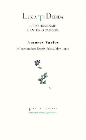LUZ A TI DEBIDA | 9788417143831 | VARIOS AUTORES | Llibreria Online de Vilafranca del Penedès | Comprar llibres en català