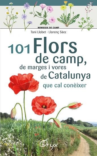 101 FLORS DE CAMP, DE MARGES I VORES DE CATALUNYA | 9788490348413 | LLOBET FRANÇOIS , TONI/SÀEZ GOÑALONS , LLORENÇ | Llibreria L'Odissea - Libreria Online de Vilafranca del Penedès - Comprar libros
