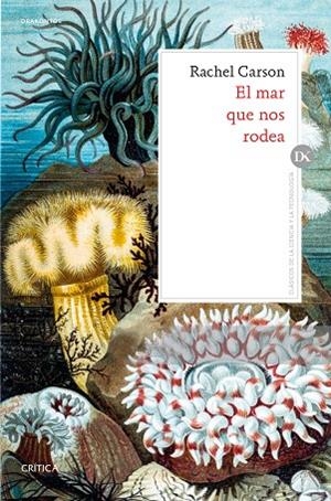 EL MAR QUE NOS RODEA | 9788491991069 | CARSON, RACHEL | Llibreria L'Odissea - Libreria Online de Vilafranca del Penedès - Comprar libros