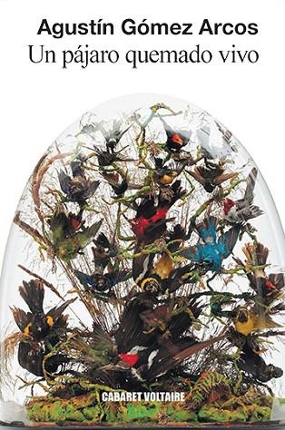 UN PÁJARO QUEMADO VIVO | 9788494941443 | GÓMEZ ARCOS, AGUSTÍN | Llibreria L'Odissea - Libreria Online de Vilafranca del Penedès - Comprar libros