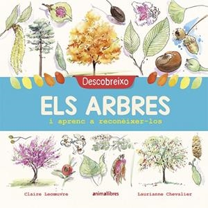 DESCOBREIXO ELS ARBRES I APRENC A RECONÈIXER-LOS | 9788417599195 | LECOEUVRE, CLAIRE | Llibreria Online de Vilafranca del Penedès | Comprar llibres en català