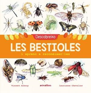 DESCOBREIXO LES BESTIOLES I APRENC A RECONÈIXER-LES | 9788417599201 | ALBOUY, VINCENT | Llibreria Online de Vilafranca del Penedès | Comprar llibres en català
