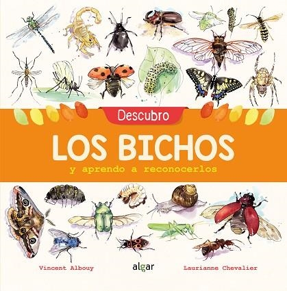 DESCUBRO LOS BICHOS Y APRENDO A RECONOCERLOS | 9788491422969 | ALBOUY, VINCENT | Llibreria L'Odissea - Libreria Online de Vilafranca del Penedès - Comprar libros