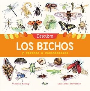 DESCUBRO LOS BICHOS Y APRENDO A RECONOCERLOS | 9788491422969 | ALBOUY, VINCENT | Llibreria Online de Vilafranca del Penedès | Comprar llibres en català
