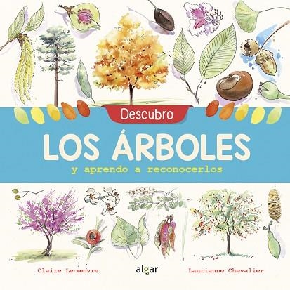 DESCUBRO LOS ÁRBOLES Y APRENDO A RECONOCERLOS | 9788491422952 | LECOEUVRE, CLAIRE | Llibreria L'Odissea - Libreria Online de Vilafranca del Penedès - Comprar libros