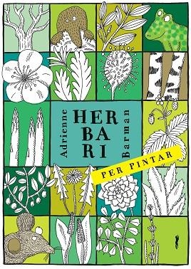 HERBARI PER PINTAR | 9788494990427 | BARMAN, ADRIANNE | Llibreria Online de Vilafranca del Penedès | Comprar llibres en català