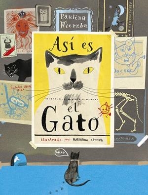 ASÍ ES EL GATO | 9788494992605 | WIERZBA, PAULINA | Llibreria L'Odissea - Libreria Online de Vilafranca del Penedès - Comprar libros