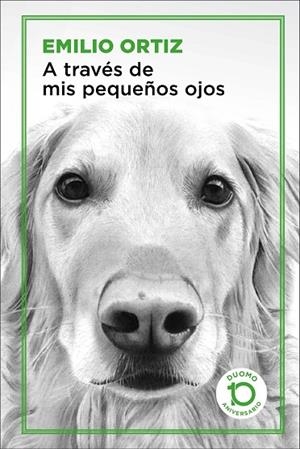 A TRAVÉS DE MIS PEQUEÑOS OJOS | 9788417761042 | ORTIZ PULIDO, EMILIO | Llibreria Online de Vilafranca del Penedès | Comprar llibres en català