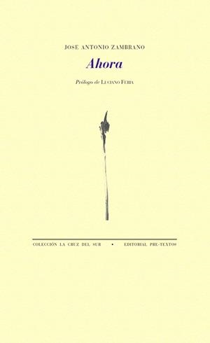 AHORA | 9788417830175 | ZAMBRANO, JOSÉ ANTONIO | Llibreria L'Odissea - Libreria Online de Vilafranca del Penedès - Comprar libros