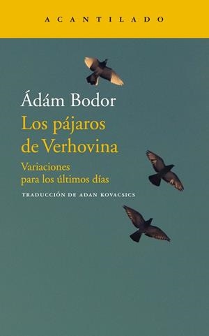 LOS PÁJAROS DE VERHOVINA | 9788417346706 | ÁDÁM BODOR | Llibreria Online de Vilafranca del Penedès | Comprar llibres en català