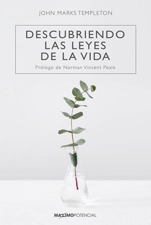DESCUBRIENDO LAS LEYES DE LA VIDA | 9788494797781 | MARKS TEMPLETON, JOHN | Llibreria L'Odissea - Libreria Online de Vilafranca del Penedès - Comprar libros