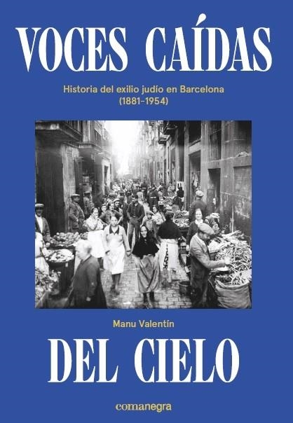 VOCES CAÍDAS DEL CIELO | 9788418022036 | VALENTÍN, MANU | Llibreria L'Odissea - Libreria Online de Vilafranca del Penedès - Comprar libros