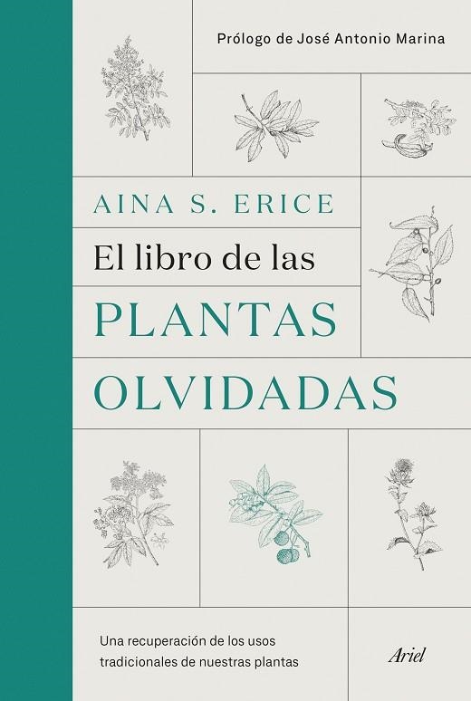 EL LIBRO DE LAS PLANTAS OLVIDADAS | 9788434431461 | S. ERICE, AINA | Llibreria Online de Vilafranca del Penedès | Comprar llibres en català