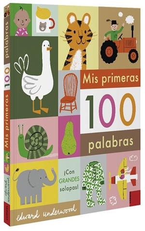 MIS PRIMERAS 100 PALABRAS | 9788491015949 | Llibreria L'Odissea - Libreria Online de Vilafranca del Penedès - Comprar libros