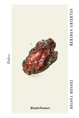 HERIDAS ABIERTAS | 9788494972591 | MÉNDEZ, BEGOÑA | Llibreria L'Odissea - Libreria Online de Vilafranca del Penedès - Comprar libros