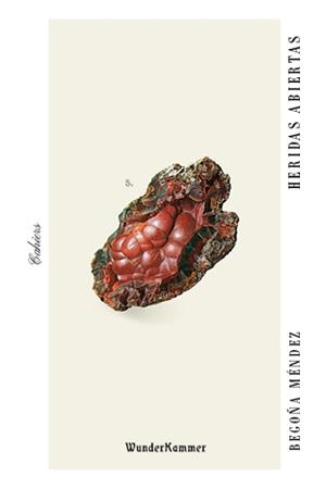 HERIDAS ABIERTAS | 9788494972591 | MÉNDEZ, BEGOÑA | Llibreria Online de Vilafranca del Penedès | Comprar llibres en català