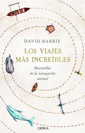 LOS VIAJES MÁS INCREÍBLES | 9788491992059 | BARRIE, DAVID | Llibreria Online de Vilafranca del Penedès | Comprar llibres en català