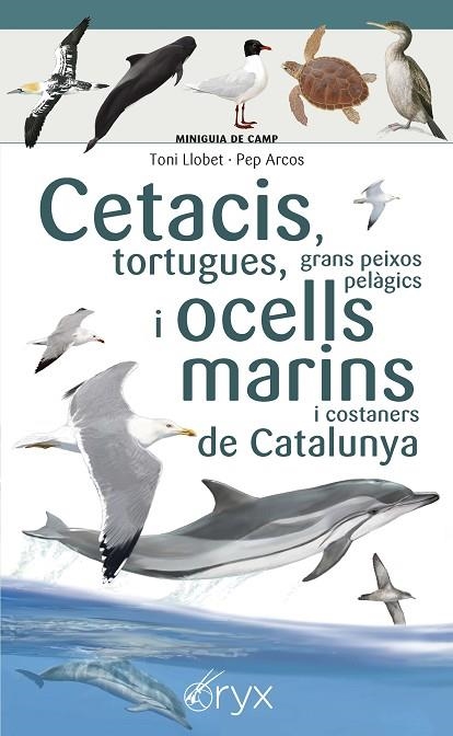 CETACIS TORTUGUES GRANS PEIXOS PELÀGICS I OCELLS MARINS DE CATALUNYA | 9788490349441 | LLOBET FRANÇOIS , TONI/ARCOS XX, PEP | Llibreria L'Odissea - Libreria Online de Vilafranca del Penedès - Comprar libros