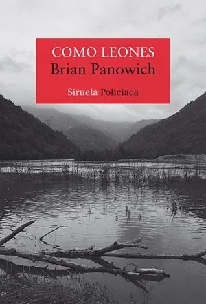 COMO LEONES | 9788418245572 | PANOWICH, BRIAN | Llibreria L'Odissea - Libreria Online de Vilafranca del Penedès - Comprar libros