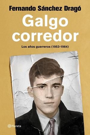 GALGO CORREDOR | 9788408223337 | SÁNCHEZ DRAGÓ, FERNANDO | Llibreria L'Odissea - Libreria Online de Vilafranca del Penedès - Comprar libros
