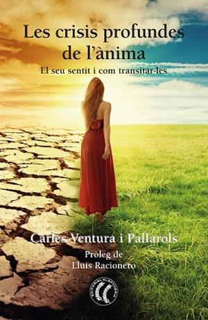 LES CRISIS PROFUNDES DE L'ÀNIMA | 9788412067187 | VENTURA PALLAROLS, CARLES | Llibreria Online de Vilafranca del Penedès | Comprar llibres en català