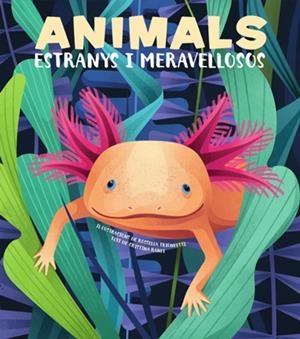 ANIMALS EXTRANYS I MERAVELLOSOS (VVKIDS) | 9788468270685 | BANFI, CRISTINA | Llibreria L'Odissea - Libreria Online de Vilafranca del Penedès - Comprar libros