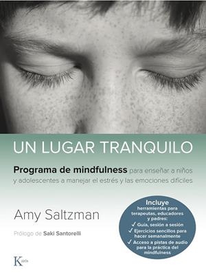 UN LUGAR TRANQUILO | 9788499887562 | SALTZMAN, AMY | Llibreria L'Odissea - Libreria Online de Vilafranca del Penedès - Comprar libros