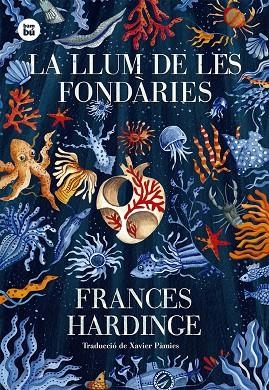 LA LLUM DE LES FONDÀRIES | 9788483436035 | HARDINGE, FRANCES | Llibreria L'Odissea - Libreria Online de Vilafranca del Penedès - Comprar libros