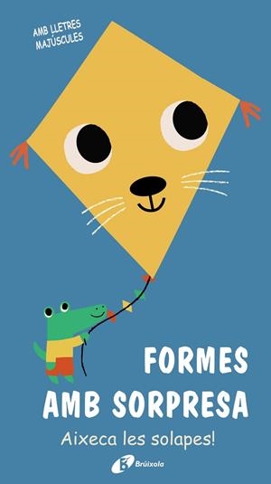 FORMES AMB SORPRESA | 9788499063690 | VARIOS AUTORES | Llibreria L'Odissea - Libreria Online de Vilafranca del Penedès - Comprar libros