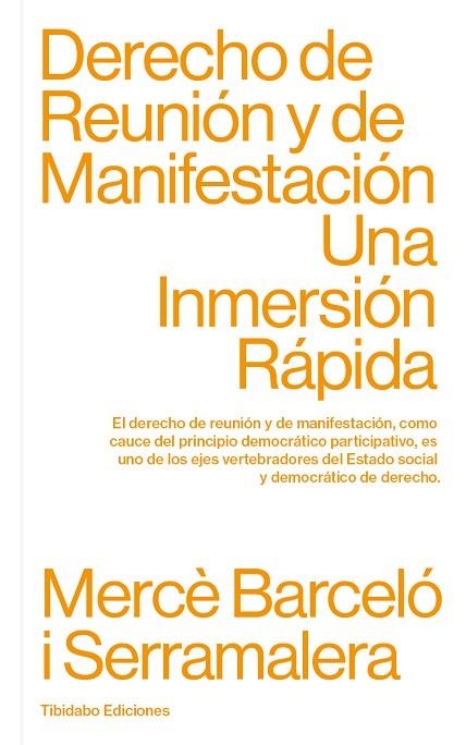 DERECHO DE REUNIÓN Y DE MANIFESTACIÓN | 9788413475806 | BARCELÓ I SERRAMALERA, MERCÈ | Llibreria L'Odissea - Libreria Online de Vilafranca del Penedès - Comprar libros