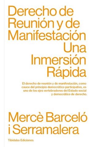 DERECHO DE REUNIÓN Y DE MANIFESTACIÓN | 9788413475806 | BARCELÓ I SERRAMALERA, MERCÈ | Llibreria L'Odissea - Libreria Online de Vilafranca del Penedès - Comprar libros