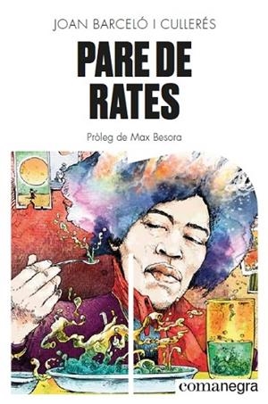 PARE DE RATES | 9788418022579 | BARCELÓ I CULLERÉS, JOAN | Llibreria L'Odissea - Libreria Online de Vilafranca del Penedès - Comprar libros