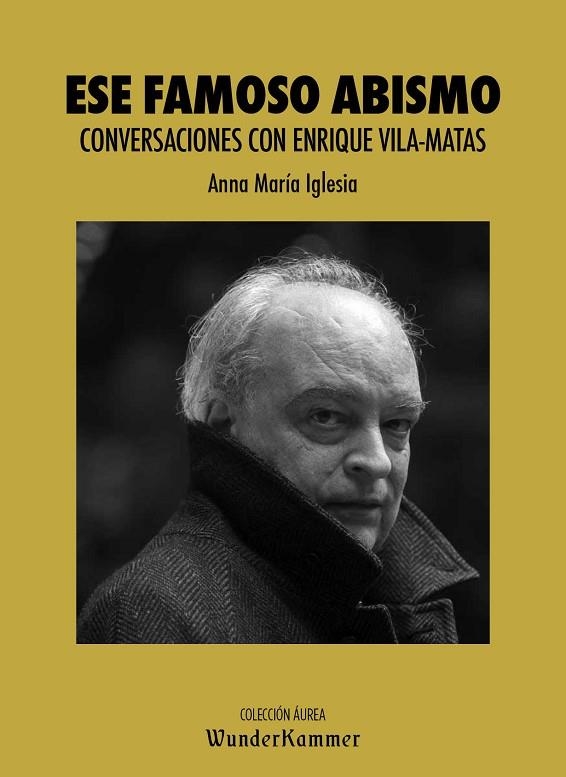 ESE FAMOSO ABISMO | 9788412166033 | IGLESIA PAGNOTTA, ANNA MARÍA | Llibreria L'Odissea - Libreria Online de Vilafranca del Penedès - Comprar libros
