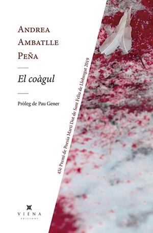 EL COÀGUL | 9788417998707 | AMBATLLE PEÑA, ANDREA | Llibreria L'Odissea - Libreria Online de Vilafranca del Penedès - Comprar libros