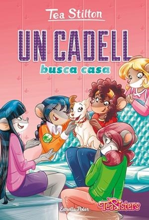 UN CADELL BUSCA CASA | 9788418134852 | STILTON, TEA | Llibreria Online de Vilafranca del Penedès | Comprar llibres en català