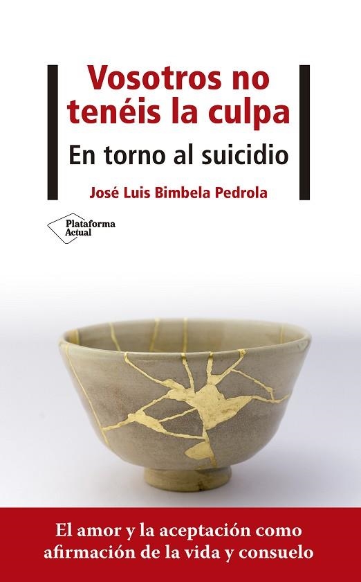 VOSOTROS NO TENÉIS LA CULPA | 9788418285707 | BIMBELA PEDROLA, JOSÉ LUIS | Llibreria L'Odissea - Libreria Online de Vilafranca del Penedès - Comprar libros