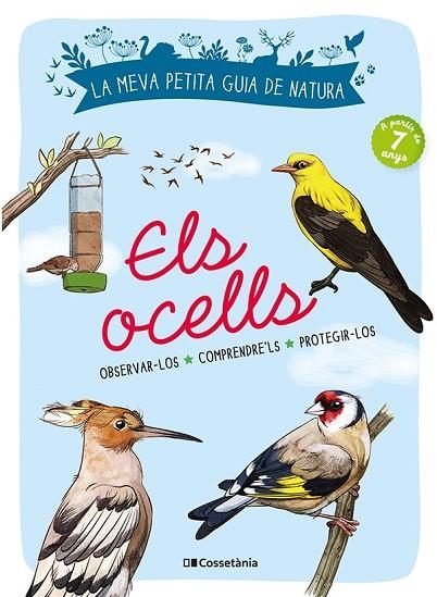 ELS OCELLS | 9788413560359 | LUCHESI, MICHEL | Llibreria L'Odissea - Libreria Online de Vilafranca del Penedès - Comprar libros